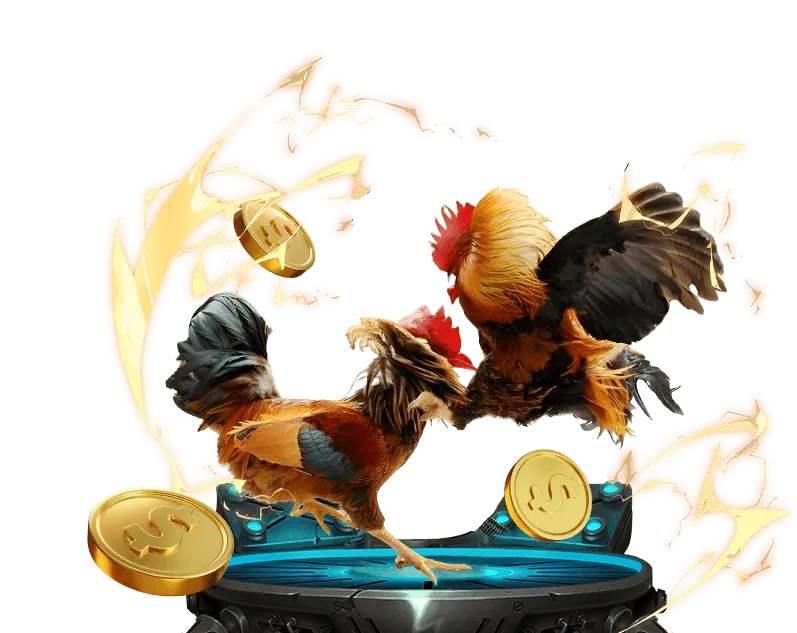 Cam kết dịch vụ W88